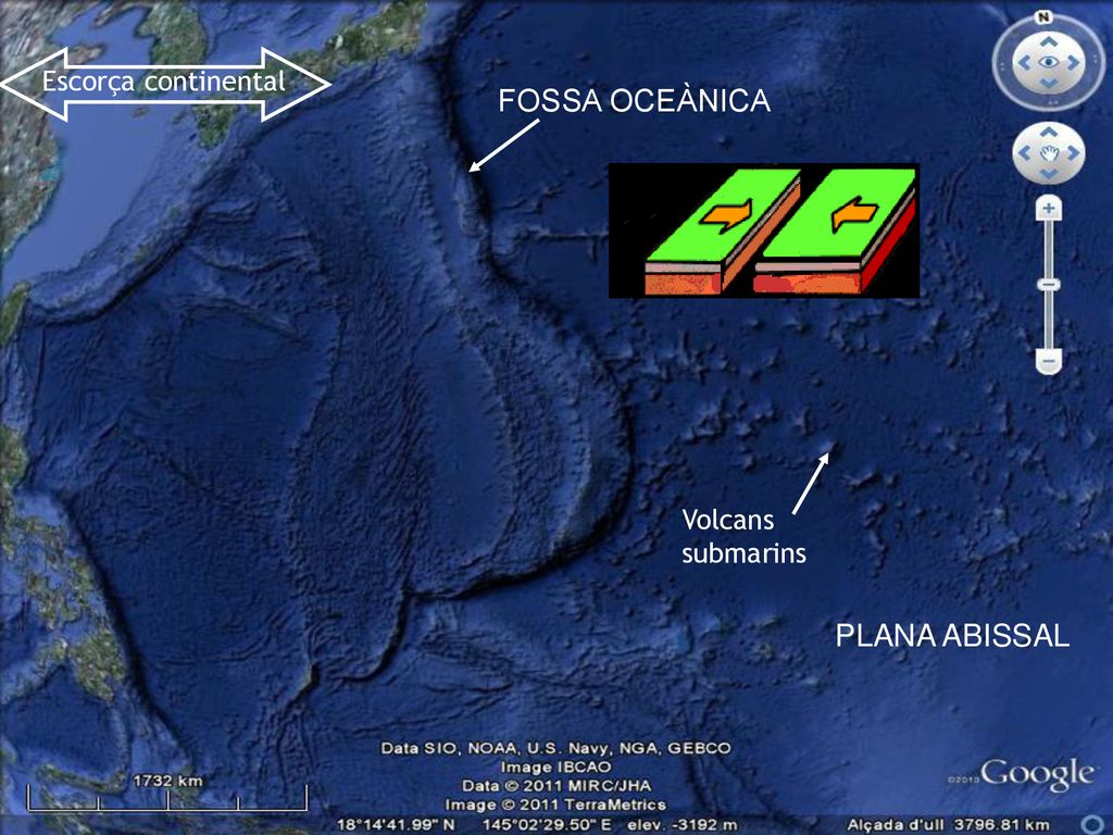 Escorça continental FOSSA OCEÀNICA Volcans submarins PLANA ABISSAL