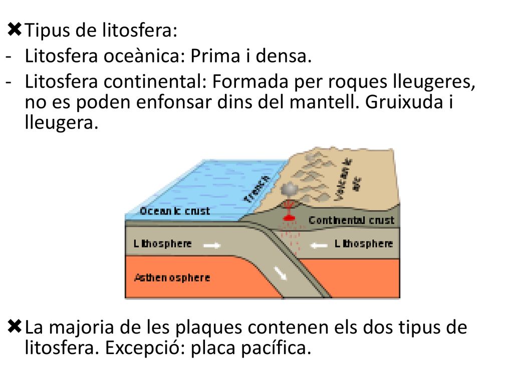 Tipus de litosfera: Litosfera oceànica: Prima i densa.