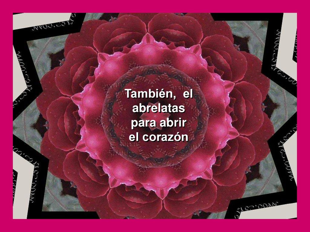 También, el abrelatas para abrir el corazón