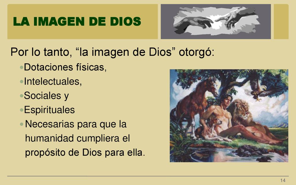 Por lo tanto, la imagen de Dios otorgó: