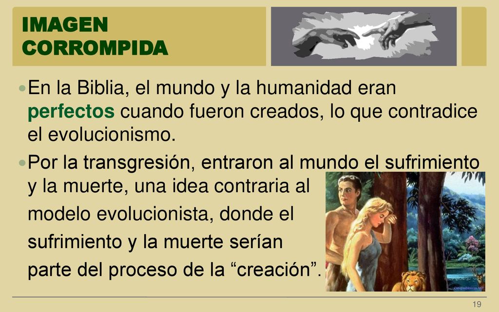 IMAGEN CORROMPIDA En la Biblia, el mundo y la humanidad eran perfectos cuando fueron creados, lo que contradice el evolucionismo.