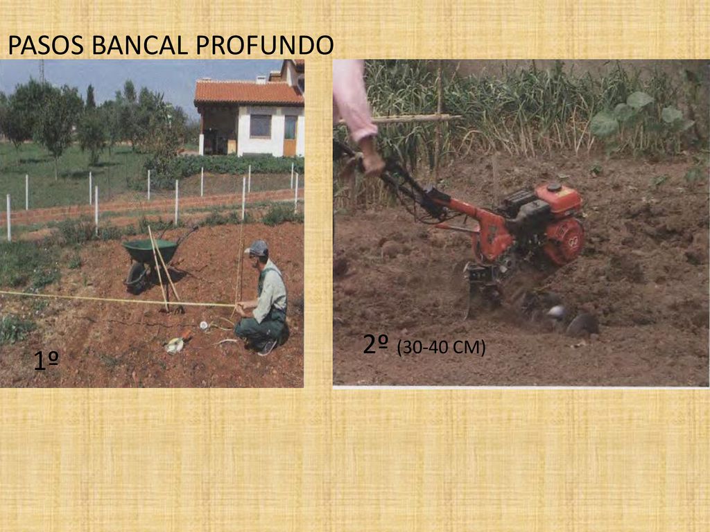 PASOS BANCAL PROFUNDO 2º (30-40 CM) 1º 1º delimitar el terreno