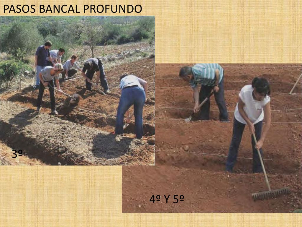 PASOS BANCAL PROFUNDO 3º 4º Y 5º 3º delimitar bancales