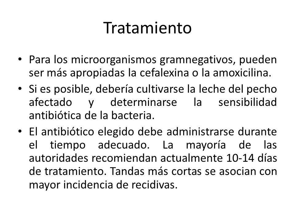 Tratamiento Para los microorganismos gramnegativos, pueden ser más apropiadas la cefalexina o la amoxicilina.