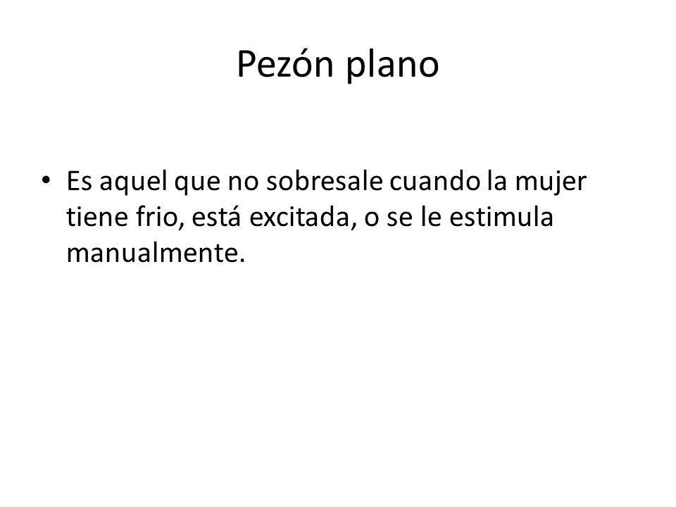 Pezón plano Es aquel que no sobresale cuando la mujer tiene frio, está excitada, o se le estimula manualmente.