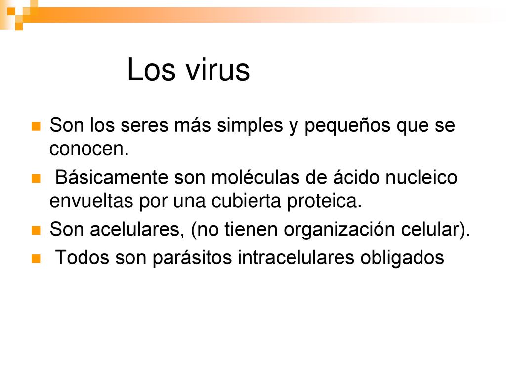 Los virus Son los seres más simples y pequeños que se conocen.