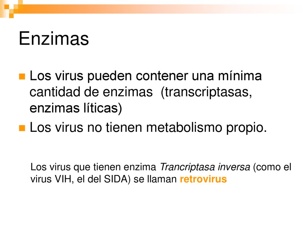 Enzimas Los virus pueden contener una mínima cantidad de enzimas (transcriptasas, enzimas líticas)