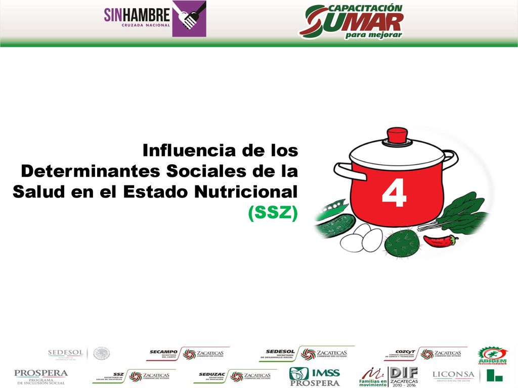 4 Influencia de los Determinantes Sociales de la Salud en el Estado Nutricional (SSZ)