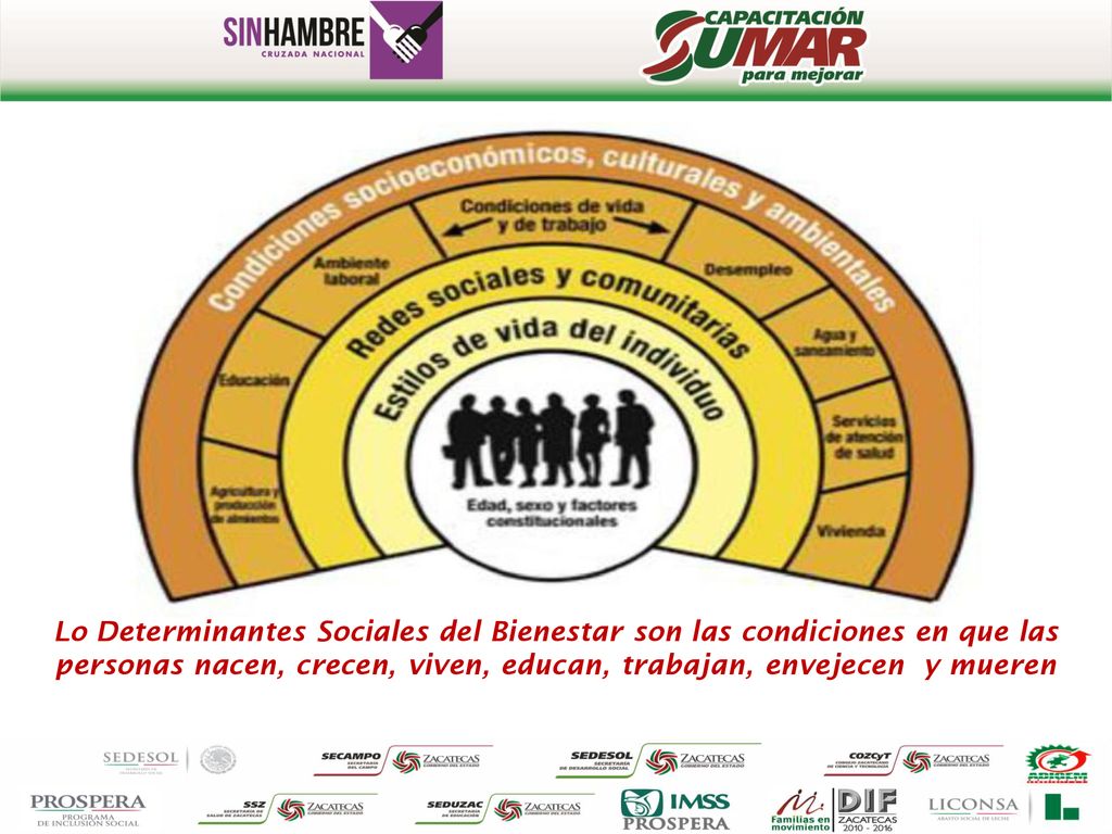 Lo Determinantes Sociales del Bienestar son las condiciones en que las personas nacen, crecen, viven, educan, trabajan, envejecen y mueren