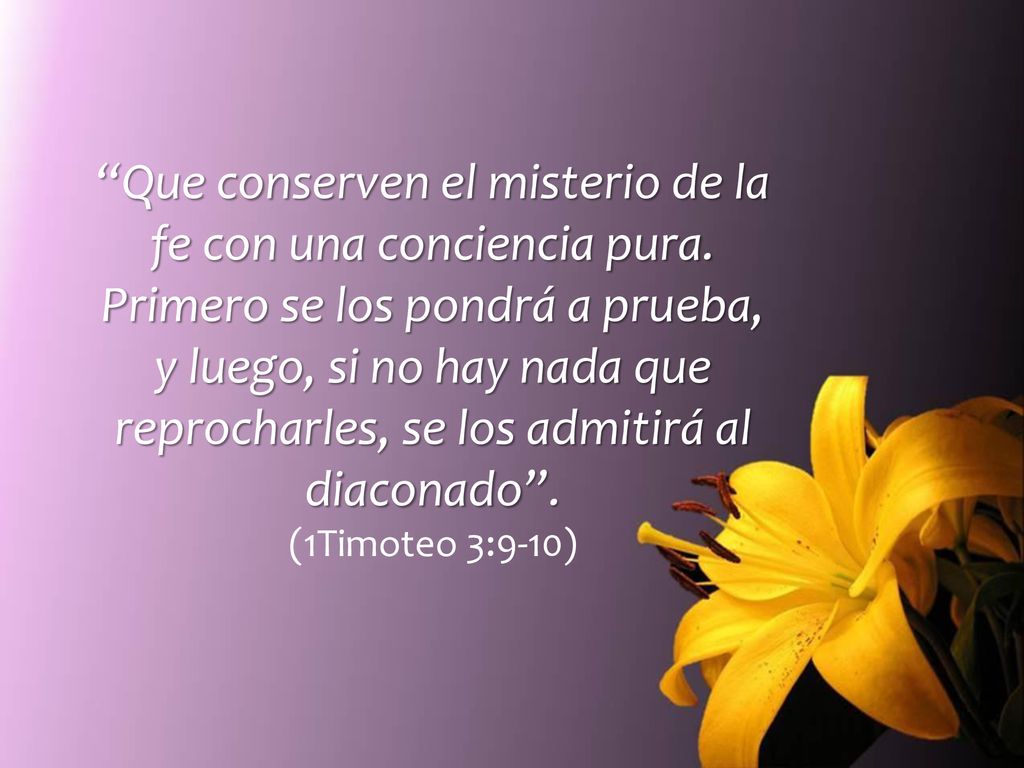 Que conserven el misterio de la fe con una conciencia pura