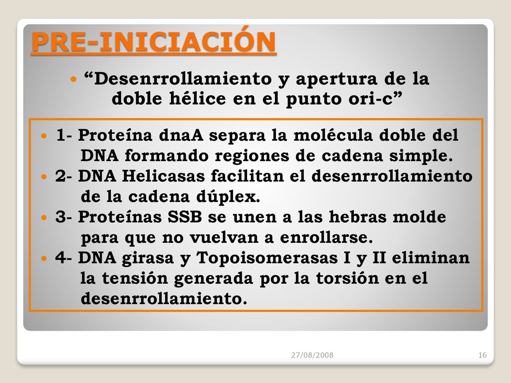 Desenrrollamiento y apertura de la doble hélice en el punto ori-c