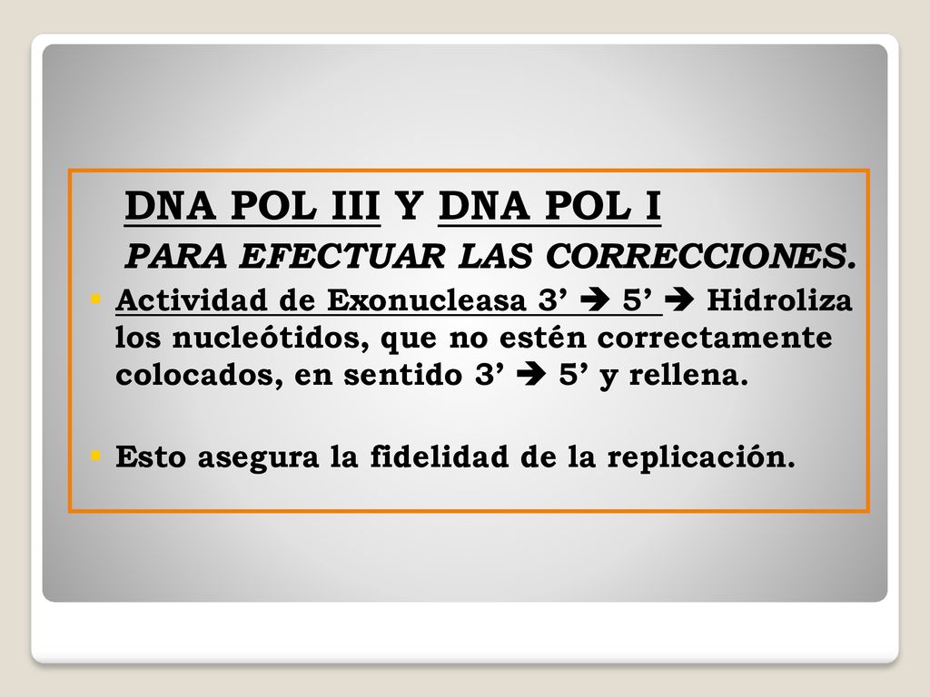 DNA POL III Y DNA POL I PARA EFECTUAR LAS CORRECCIONES.