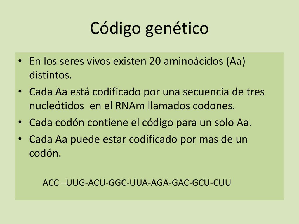 Código genético En los seres vivos existen 20 aminoácidos (Aa) distintos.