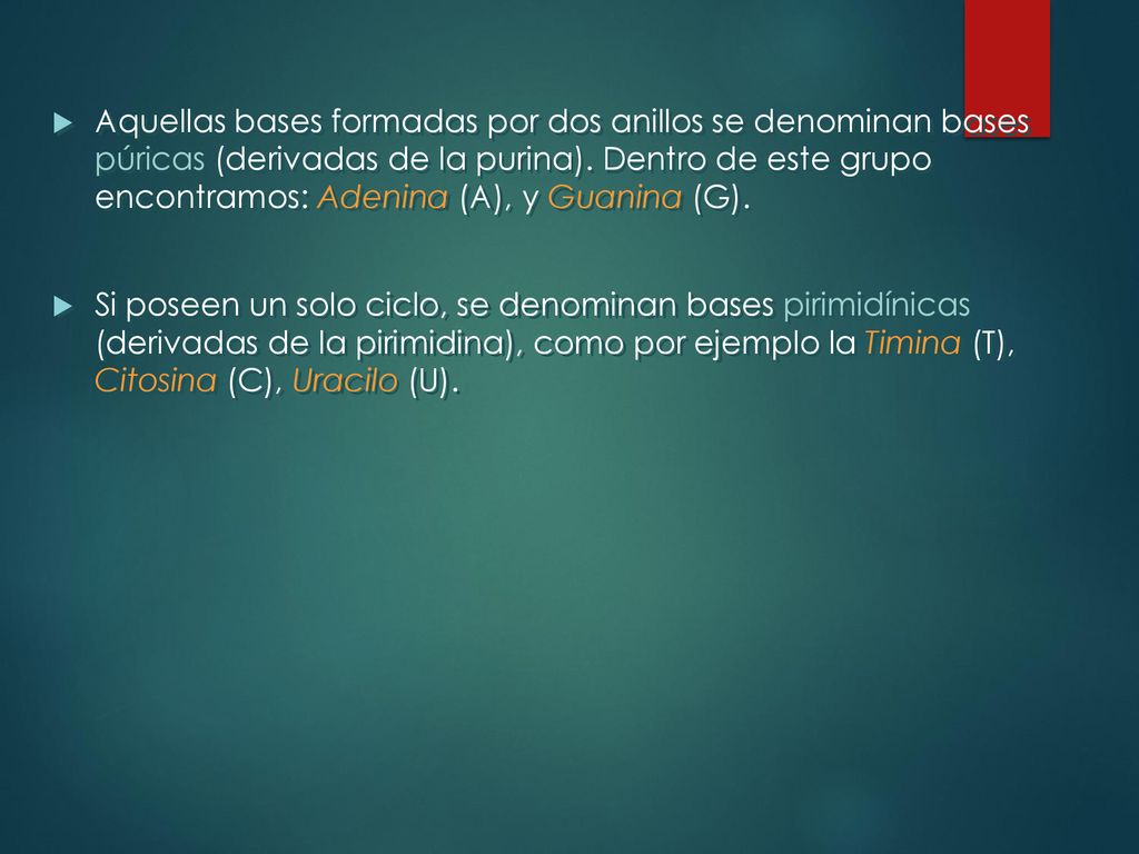 Aquellas bases formadas por dos anillos se denominan bases púricas (derivadas de la purina). Dentro de este grupo encontramos: Adenina (A), y Guanina (G).