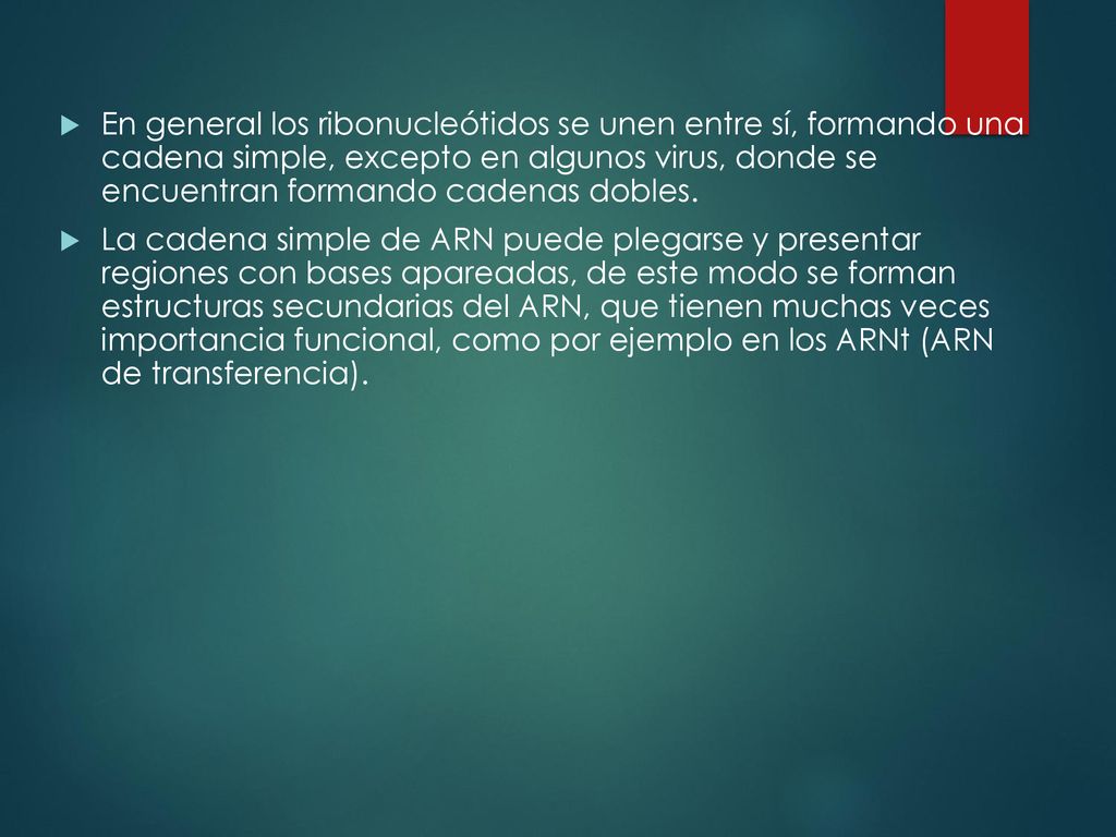 En general los ribonucleótidos se unen entre sí, formando una cadena simple, excepto en algunos virus, donde se encuentran formando cadenas dobles.