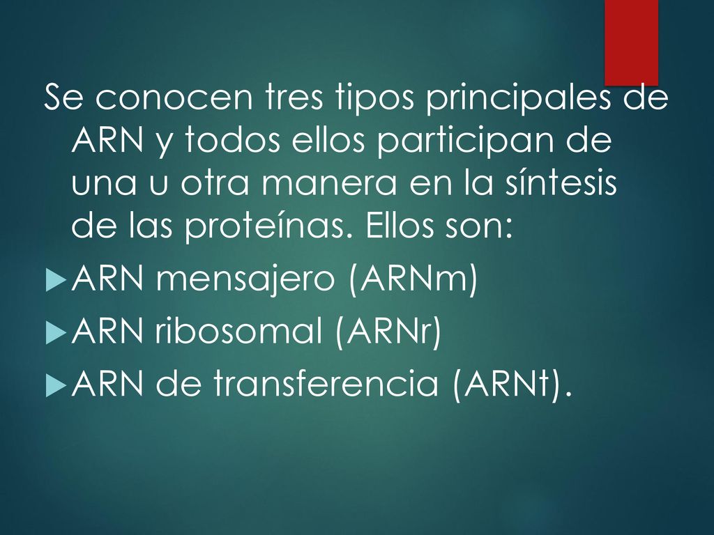Se conocen tres tipos principales de ARN y todos ellos participan de una u otra manera en la síntesis de las proteínas. Ellos son: