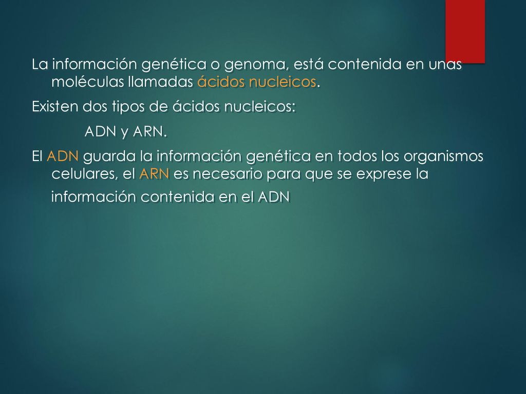 La información genética o genoma, está contenida en unas moléculas llamadas ácidos nucleicos.