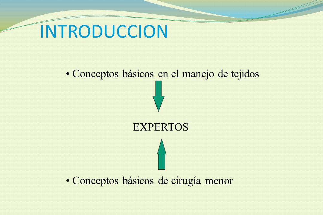 INTRODUCCION Conceptos básicos en el manejo de tejidos EXPERTOS