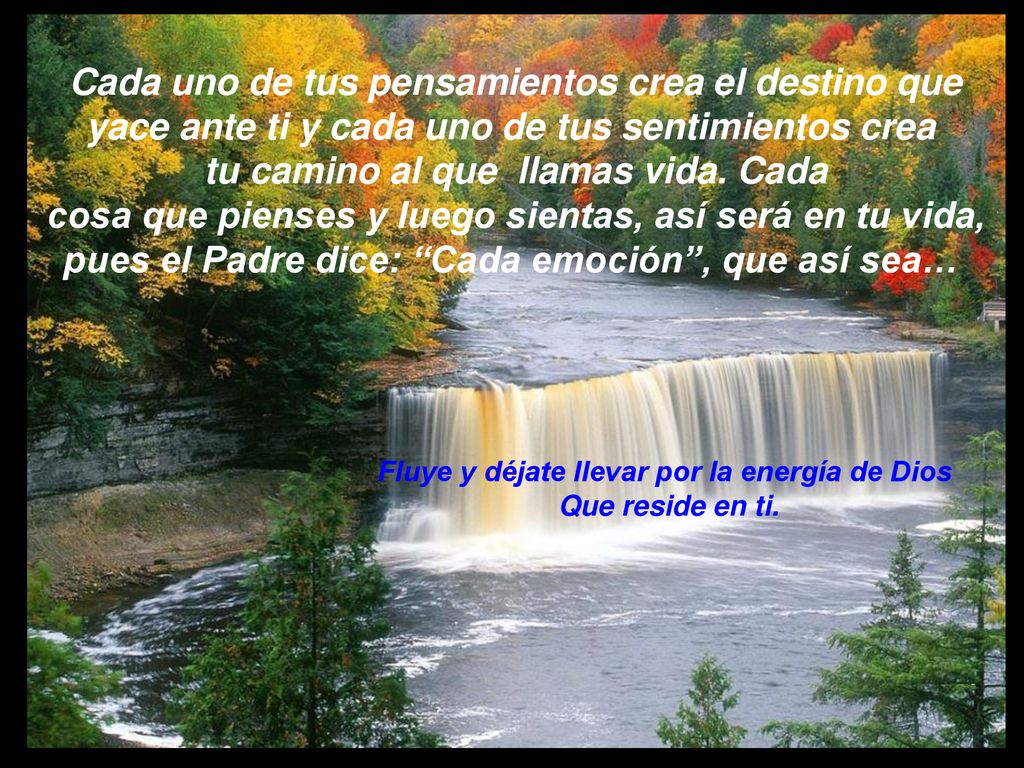 yace ante ti y cada uno de tus sentimientos crea