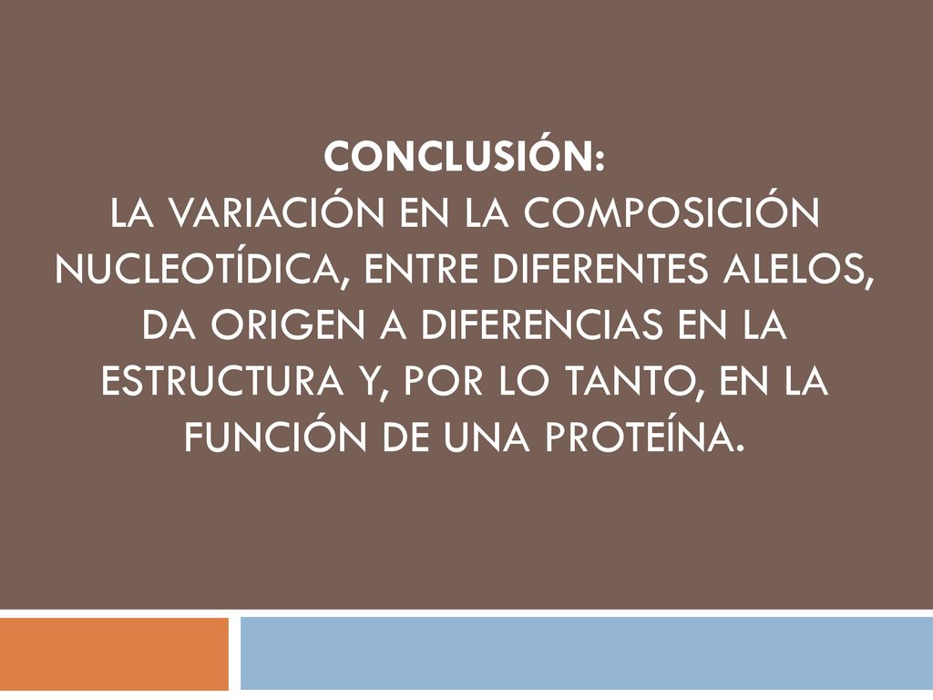 CONCLUSIÓN: LA VARIACIÓN EN LA COMPOSICIÓN NUCLEOTÍDICA, ENTRE DIFERENTES ALELOS, DA ORIGEN A DIFERENCIAS EN LA ESTRUCTURA Y, POR LO TANTO, EN LA FUNCIÓN DE UNA PROTEÍNA.