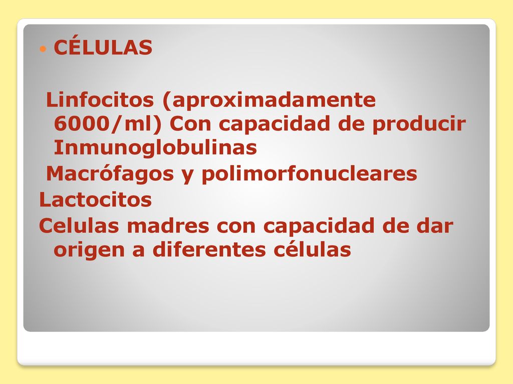 CÉLULAS Linfocitos (aproximadamente 6000/ml) Con capacidad de producir Inmunoglobulinas. Macrófagos y polimorfonucleares.