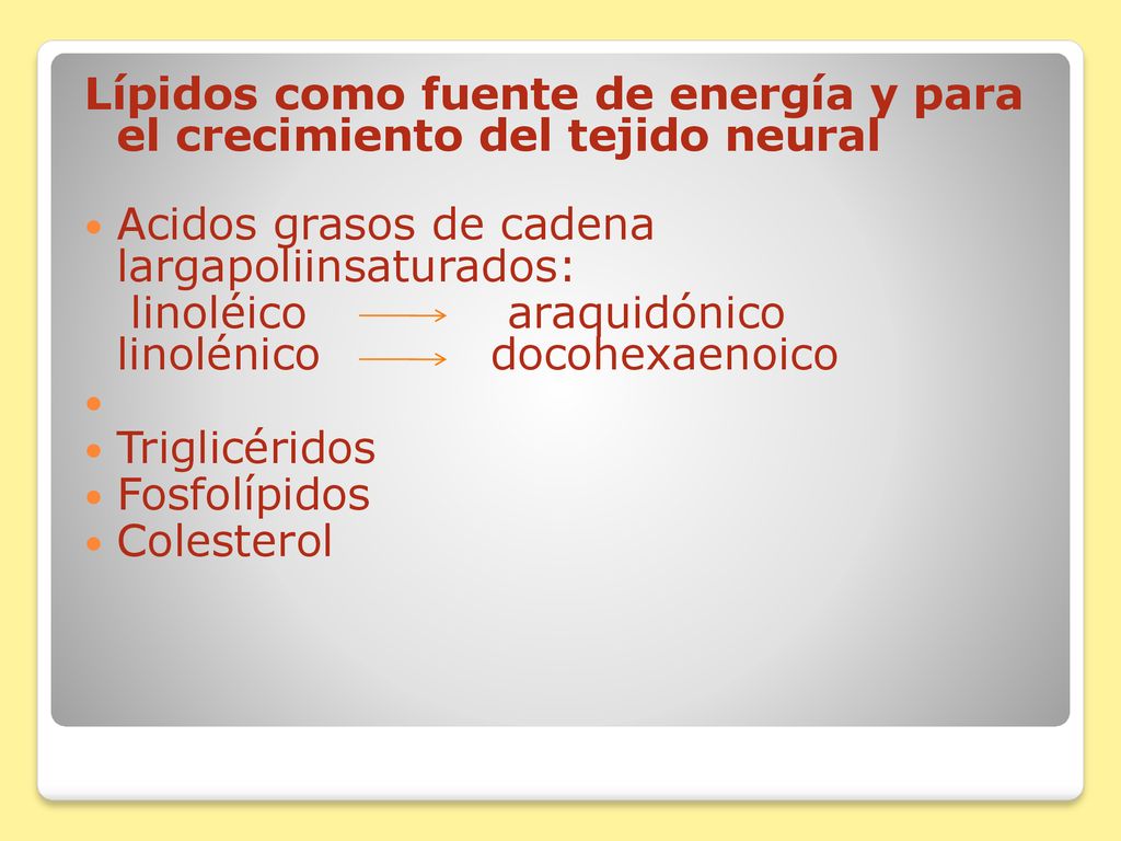 Lípidos como fuente de energía y para el crecimiento del tejido neural