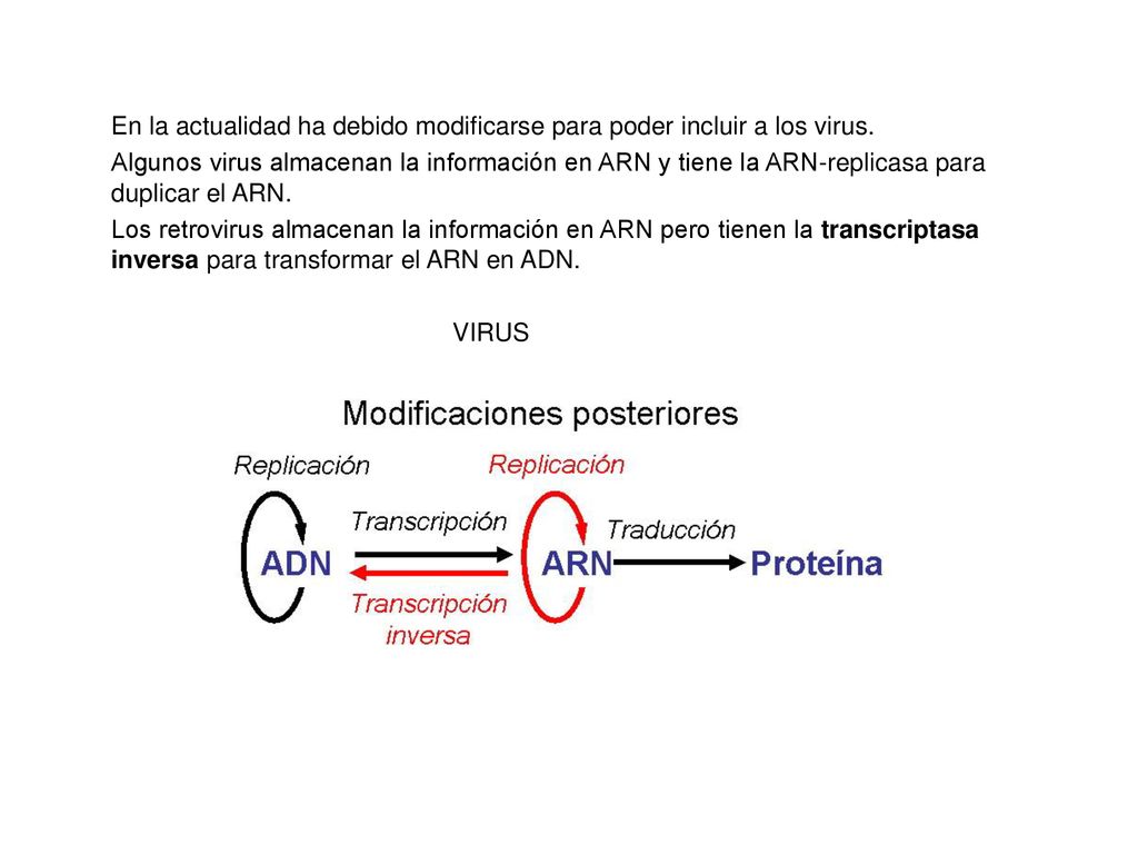En la actualidad ha debido modificarse para poder incluir a los virus