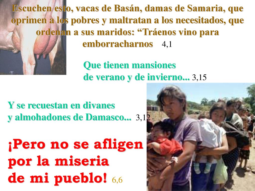¡Pero no se afligen por la miseria de mi pueblo! 6,6