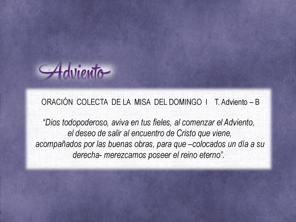 Dios todopoderoso, aviva en tus fieles, al comenzar el Adviento,