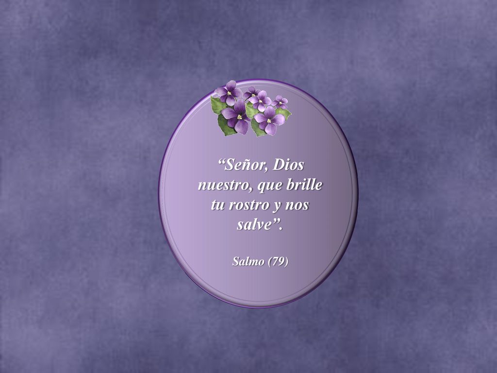Señor, Dios nuestro, que brille tu rostro y nos salve .