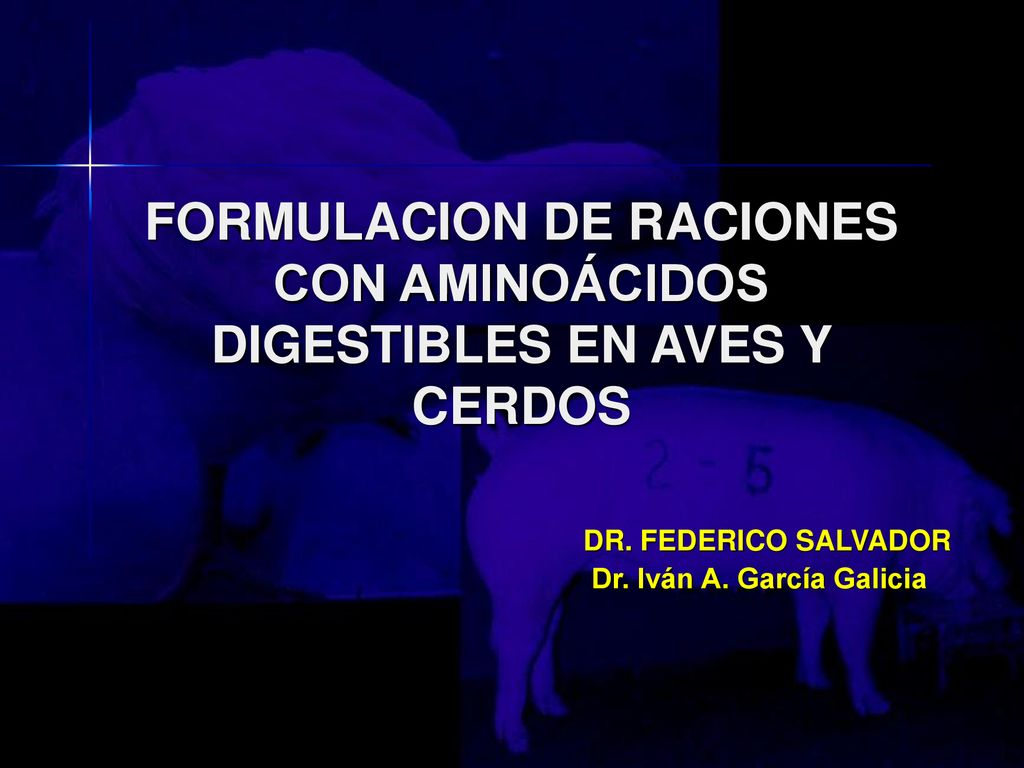 FORMULACION DE RACIONES CON AMINOÁCIDOS DIGESTIBLES EN AVES Y CERDOS