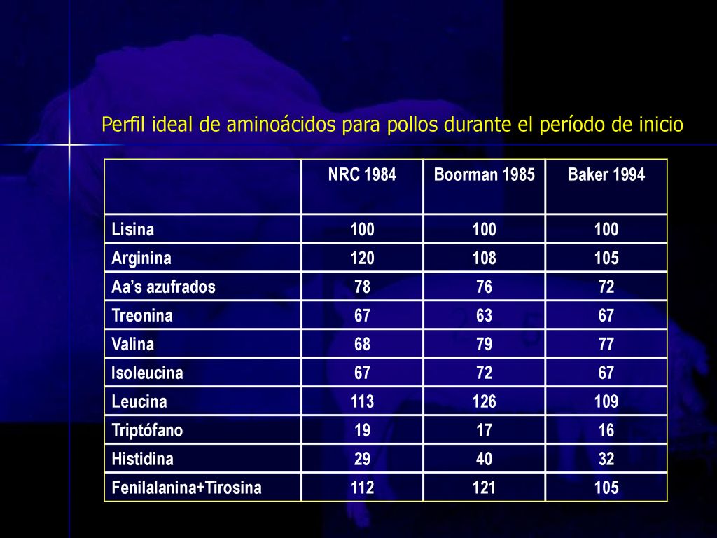 Perfil ideal de aminoácidos para pollos durante el período de inicio