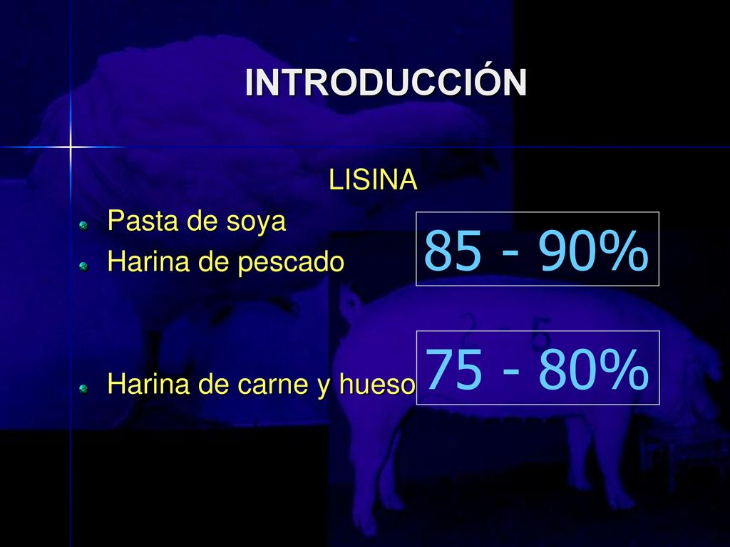 % % INTRODUCCIÓN LISINA Pasta de soya Harina de pescado