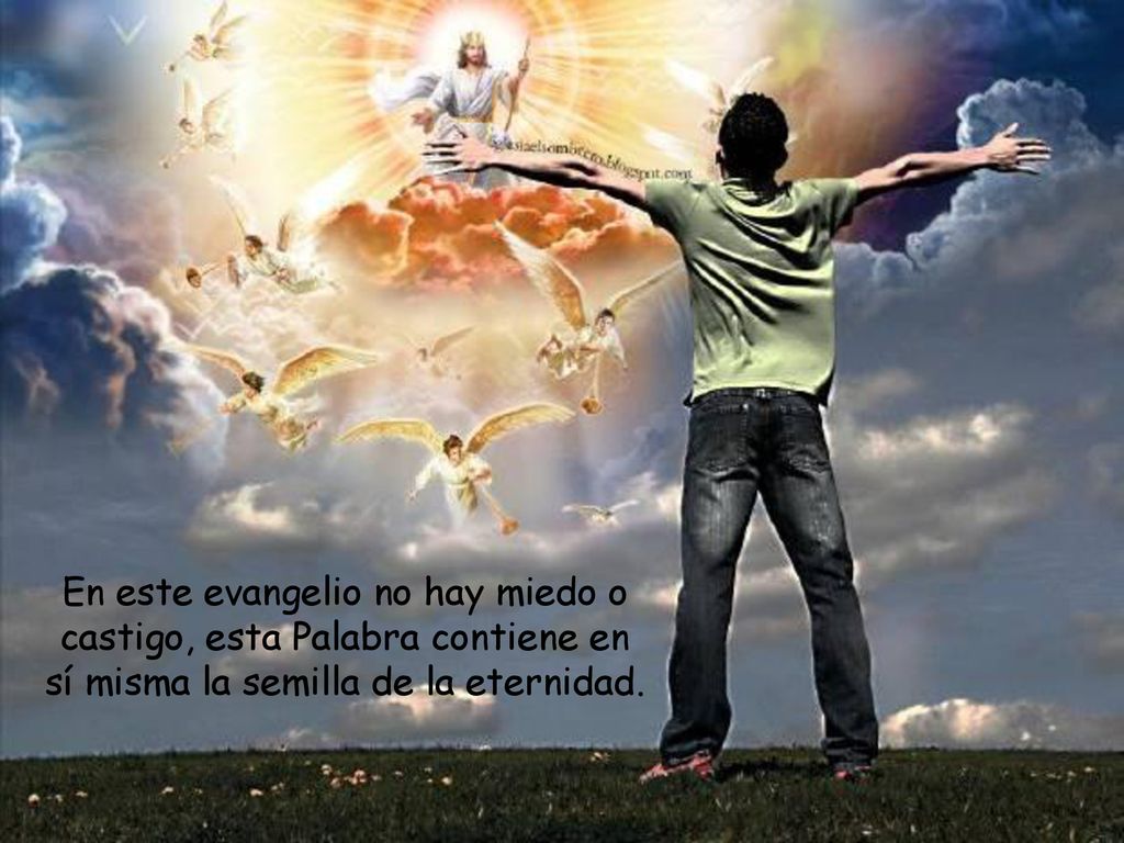 En este evangelio no hay miedo o castigo, esta Palabra contiene en sí misma la semilla de la eternidad.