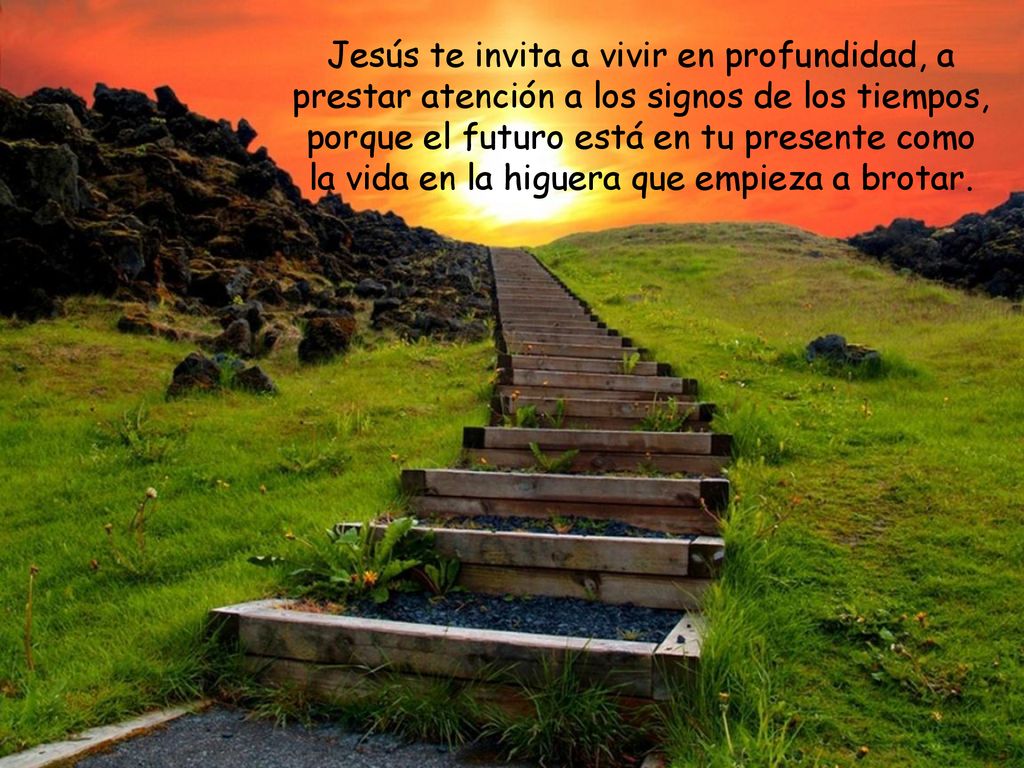 Jesús te invita a vivir en profundidad, a prestar atención a los signos de los tiempos, porque el futuro está en tu presente como la vida en la higuera que empieza a brotar.