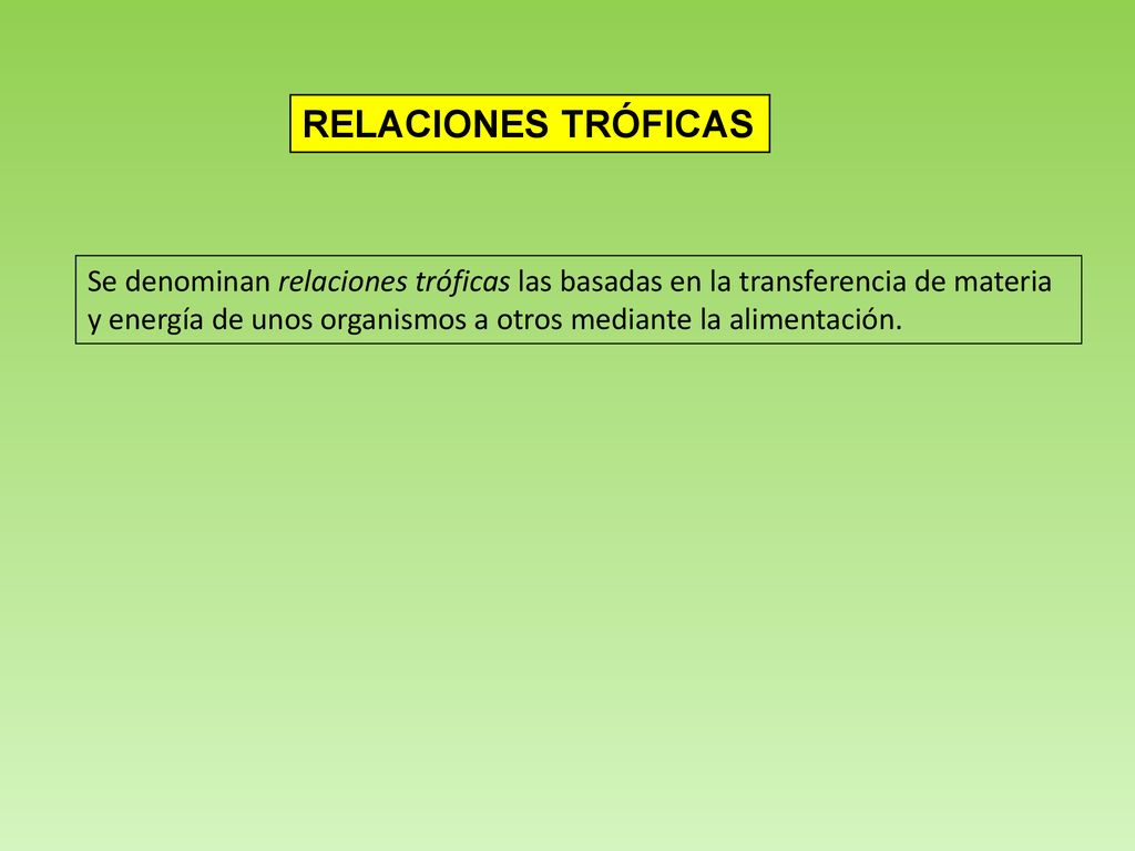 RELACIONES TRÓFICAS Se denominan relaciones tróficas las basadas en la transferencia de materia.