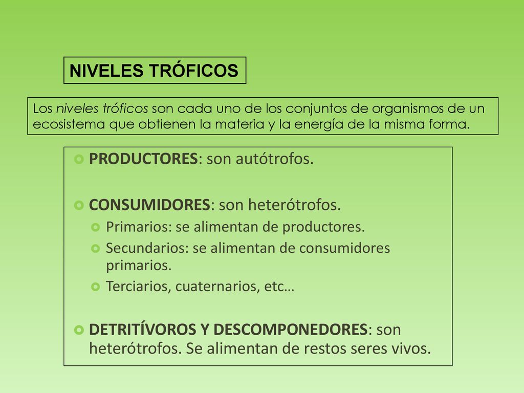 PRODUCTORES: son autótrofos. CONSUMIDORES: son heterótrofos.