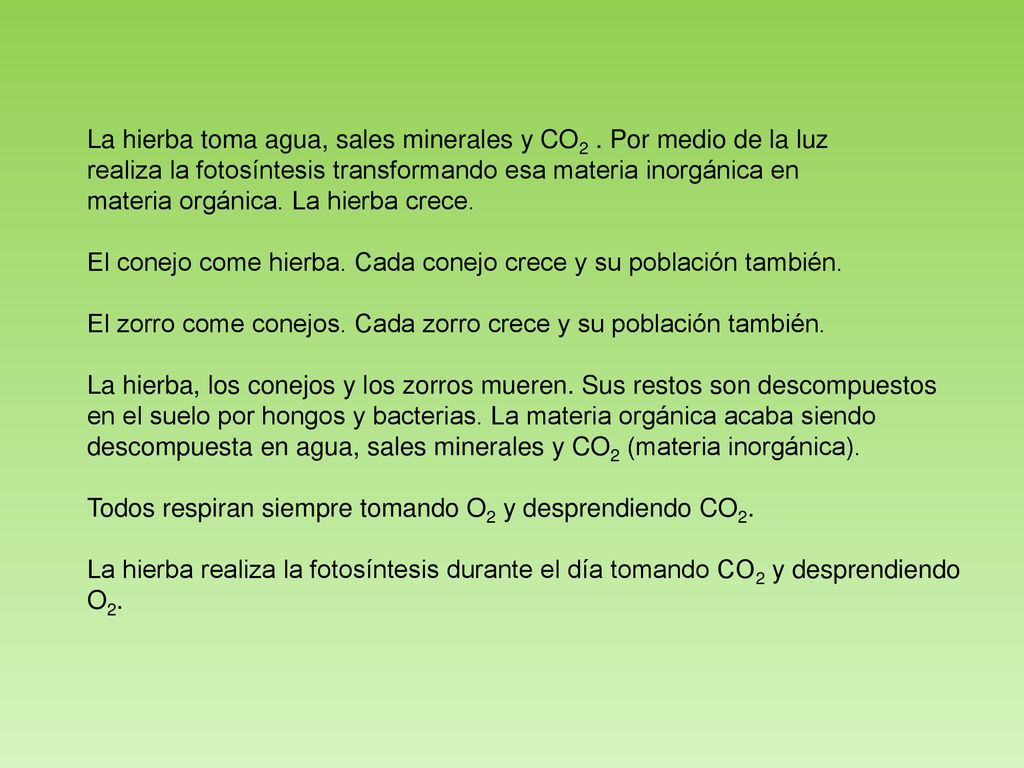La hierba toma agua, sales minerales y CO2 . Por medio de la luz