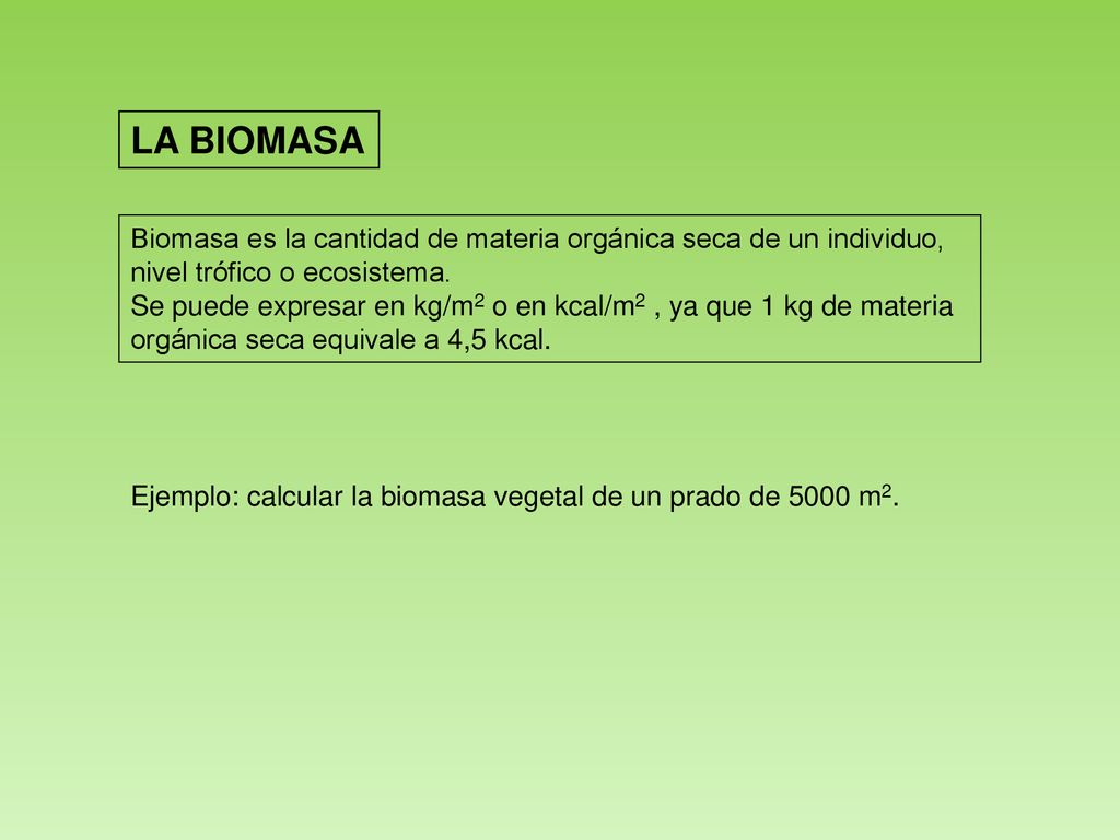 LA BIOMASA Biomasa es la cantidad de materia orgánica seca de un individuo, nivel trófico o ecosistema.