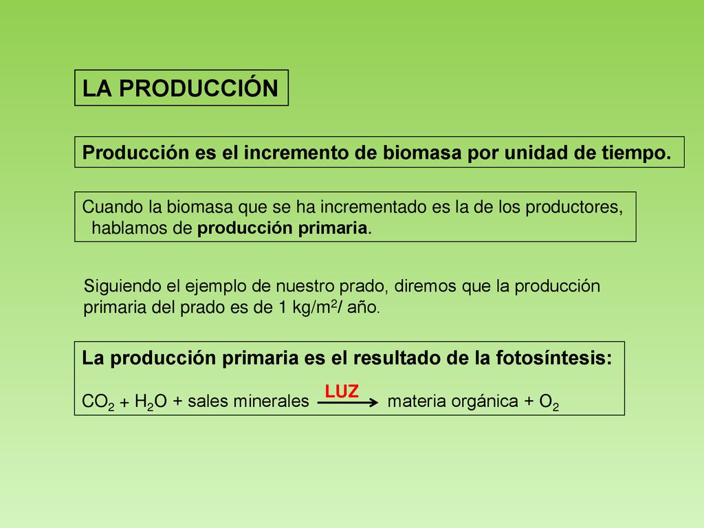 LA PRODUCCIÓN Producción es el incremento de biomasa por unidad de tiempo. Cuando la biomasa que se ha incrementado es la de los productores,
