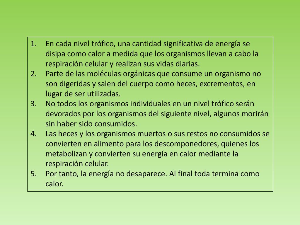 En cada nivel trófico, una cantidad significativa de energía se disipa como calor a medida que los organismos llevan a cabo la respiración celular y realizan sus vidas diarias.