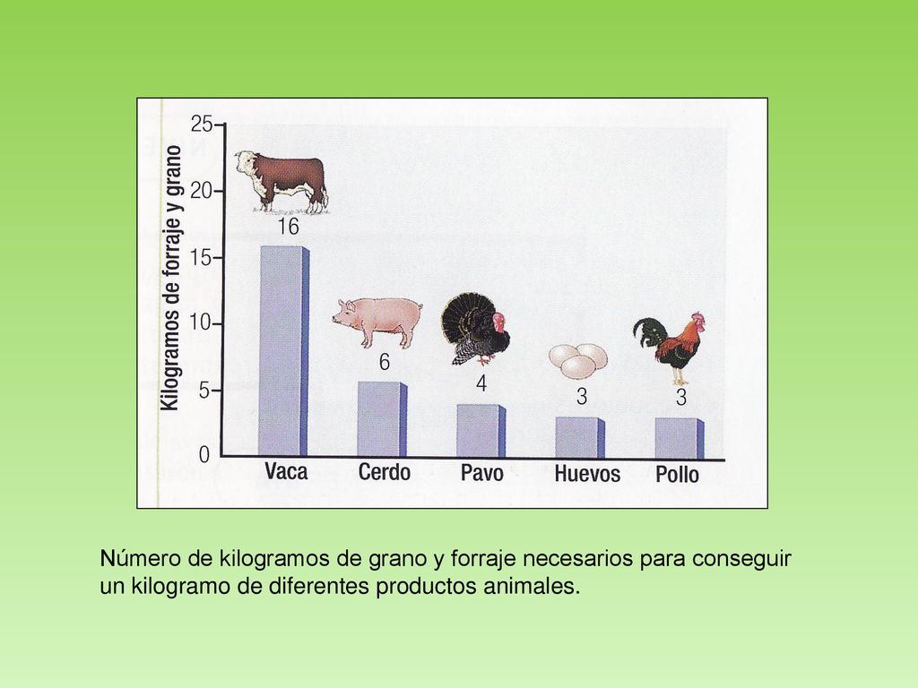 Número de kilogramos de grano y forraje necesarios para conseguir
