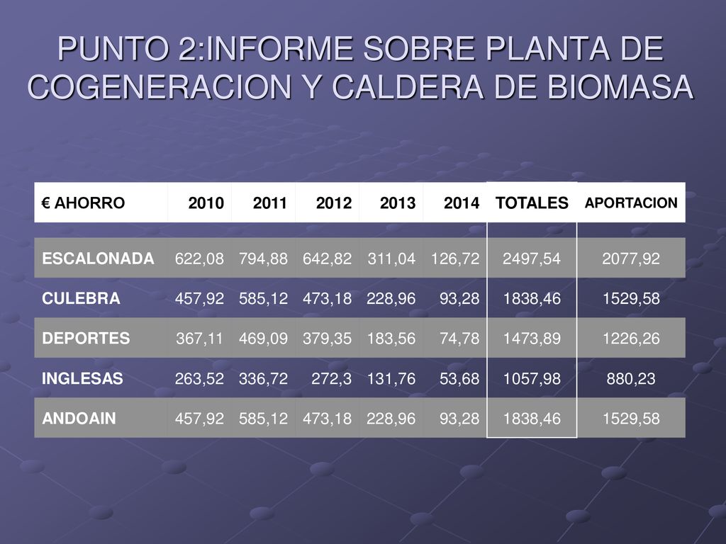 PUNTO 2:INFORME SOBRE PLANTA DE COGENERACION Y CALDERA DE BIOMASA