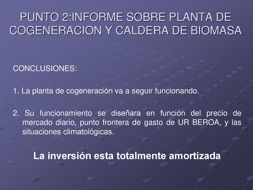 PUNTO 2:INFORME SOBRE PLANTA DE COGENERACION Y CALDERA DE BIOMASA