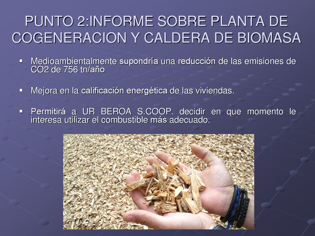PUNTO 2:INFORME SOBRE PLANTA DE COGENERACION Y CALDERA DE BIOMASA