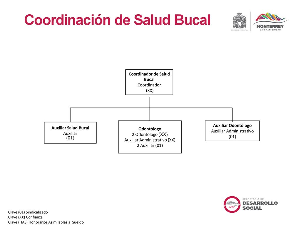 Coordinación de Salud Bucal Coordinador de Salud Bucal