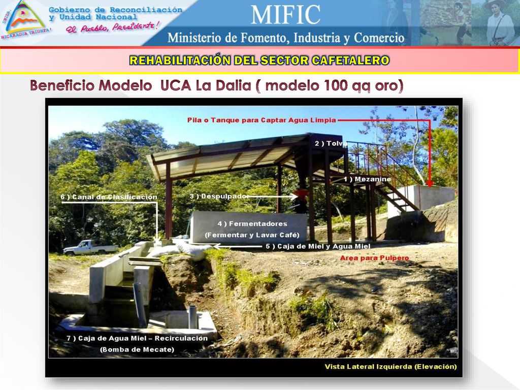 Beneficio Modelo UCA La Dalia ( modelo 100 qq oro)