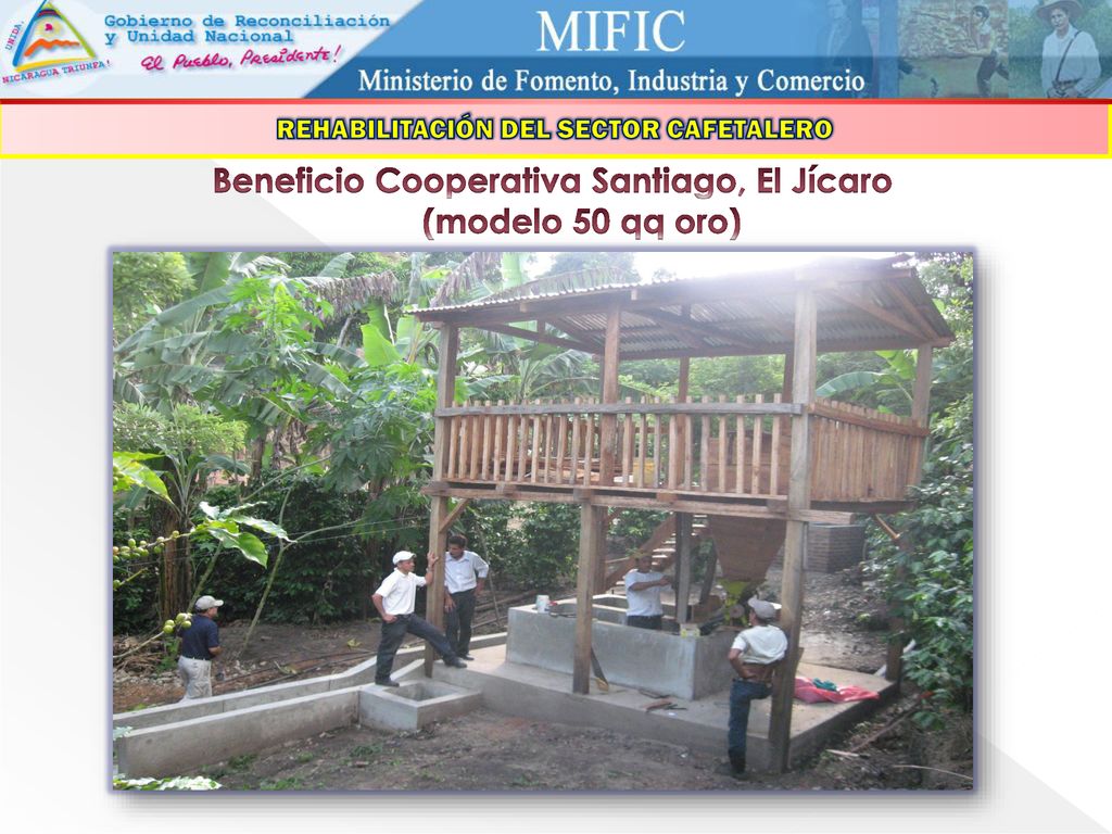 Beneficio Cooperativa Santiago, El Jícaro (modelo 50 qq oro)