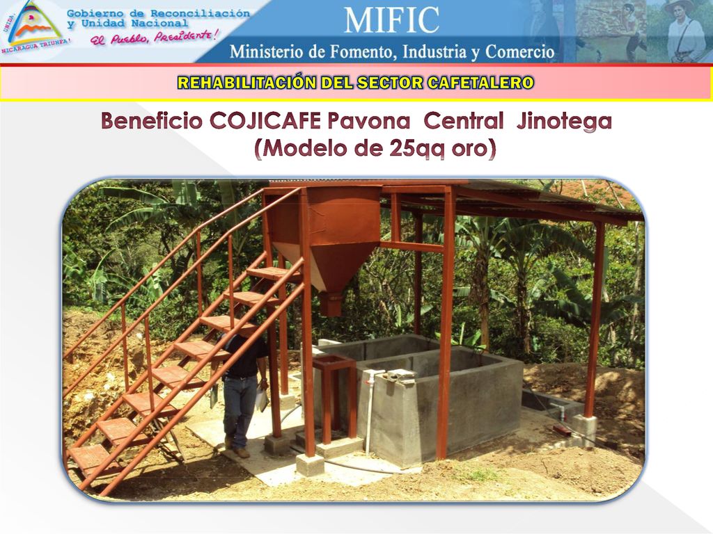 Beneficio COJICAFE Pavona Central Jinotega (Modelo de 25qq oro)