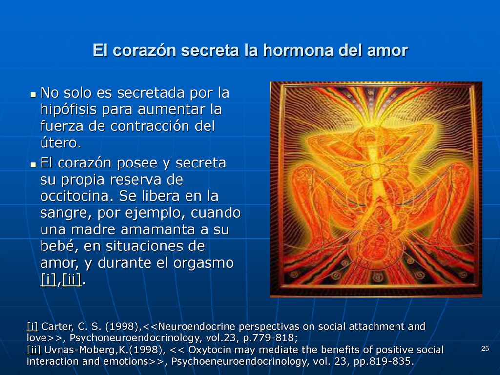 El corazón secreta la hormona del amor